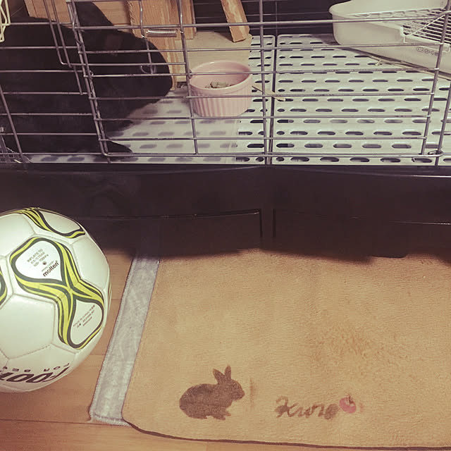 kuro_mameさんの実例写真