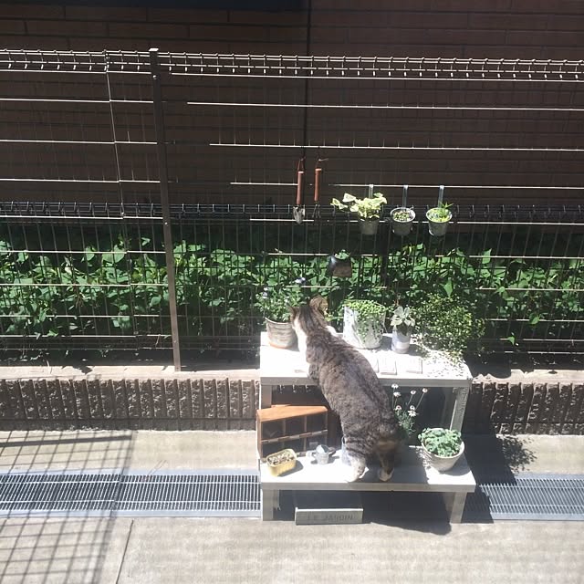 hibikiさんの実例写真