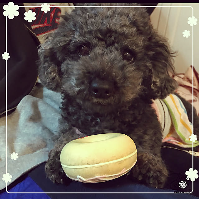 makkoさんの実例写真