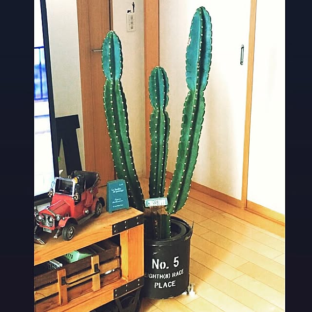 yokkochanさんの実例写真