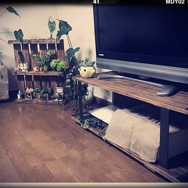 実例写真