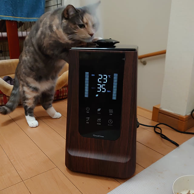 shinobuさんの実例写真