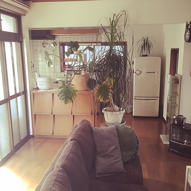 560さんの部屋