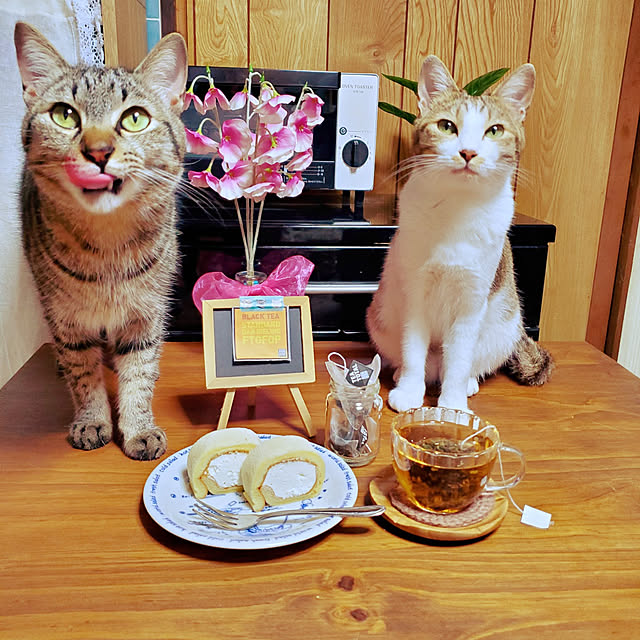 0yoshi992さんの実例写真