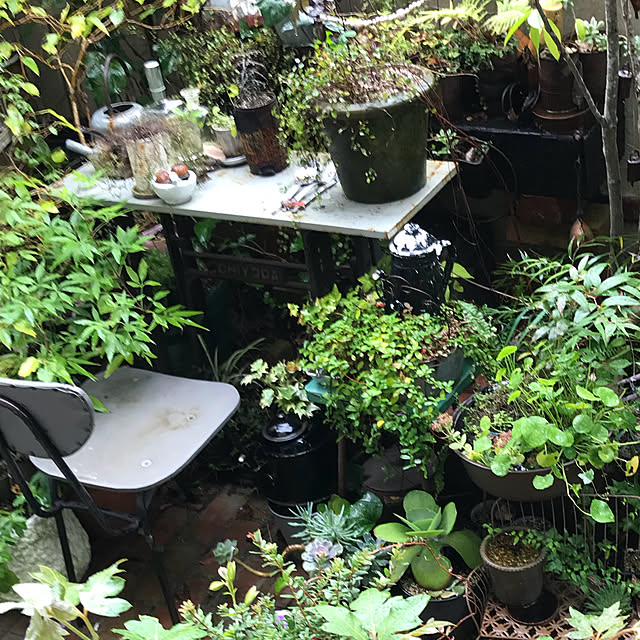 kazuuko0918さんの実例写真