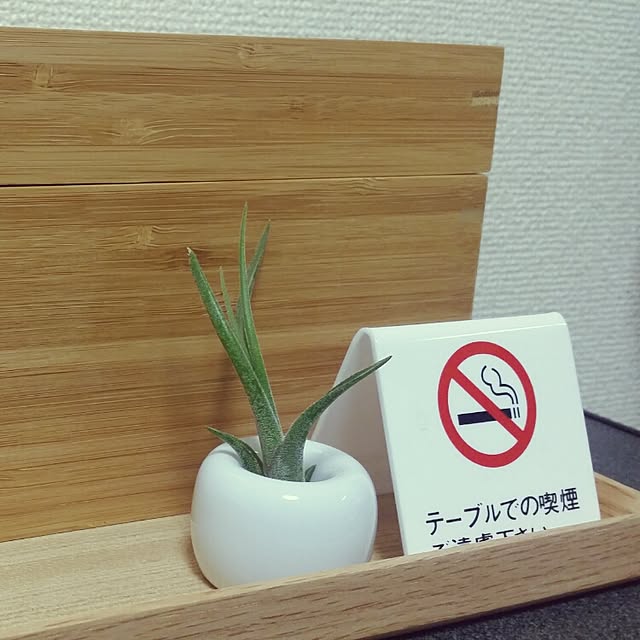 nellさんの実例写真