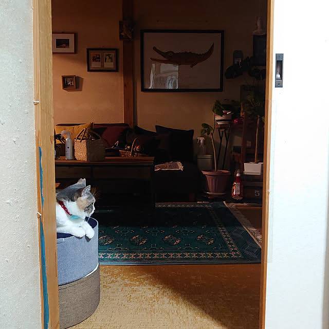 fukuさんの実例写真