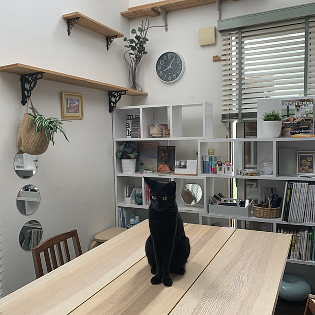 haru.haru69さんの実例写真