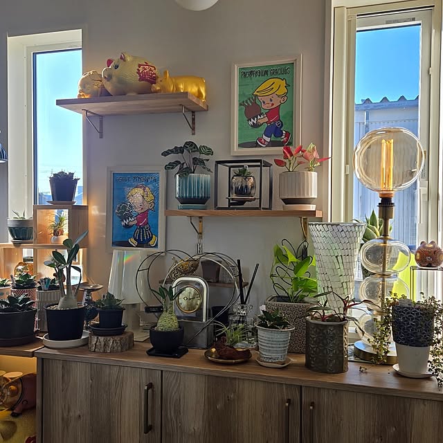 nonbiri_house_さんの部屋