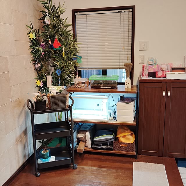 momomamaさんの部屋