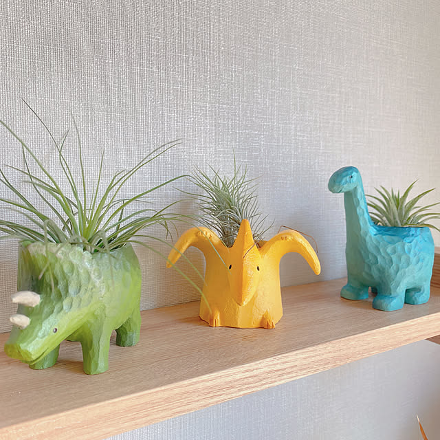 AkanetoSakuraさんの実例写真
