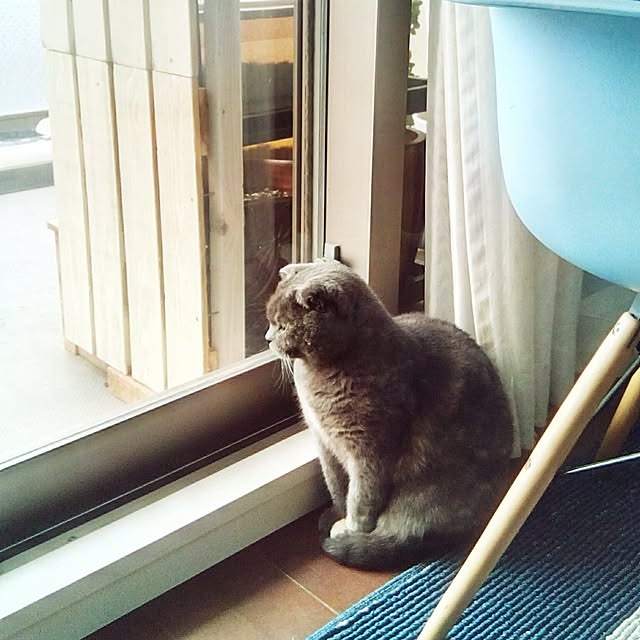 daiさんの実例写真
