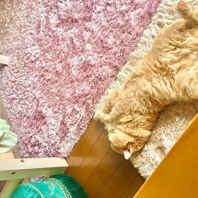 naokoさんの実例写真