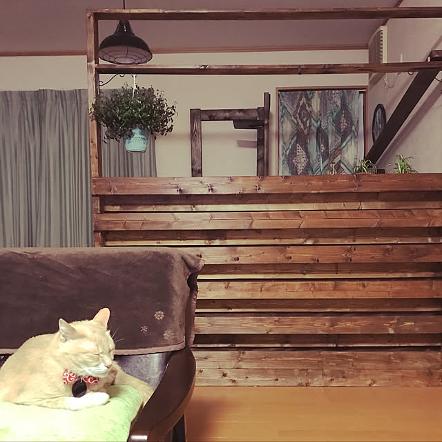 mikan161さんの実例写真