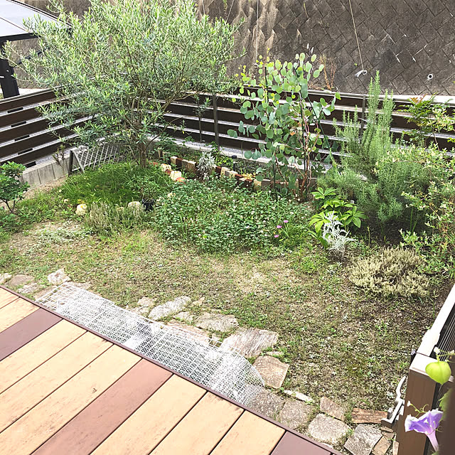 ayayayayaさんの実例写真