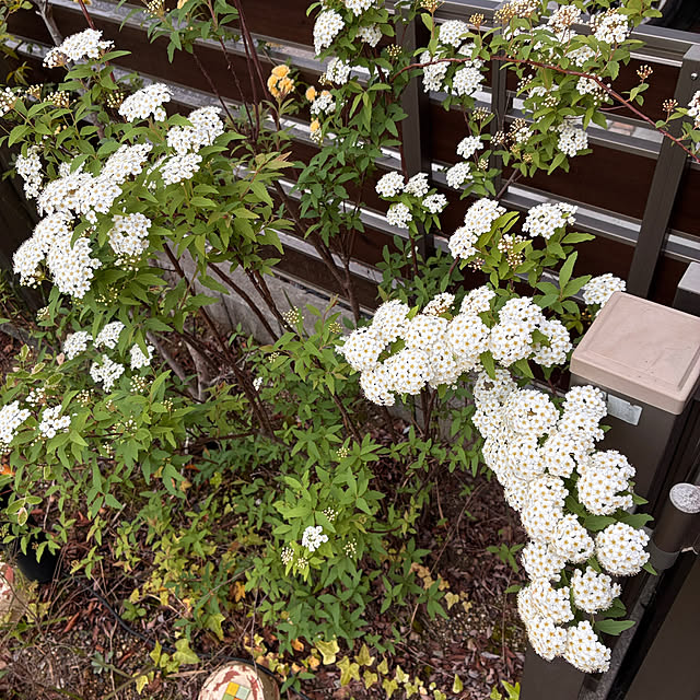 ayayayayaさんの部屋