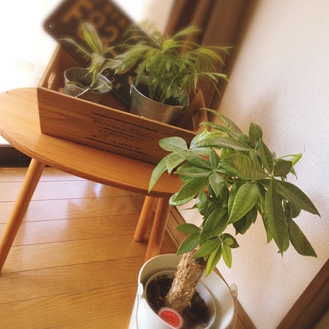 Sさんの実例写真