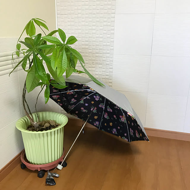 mizucchiさんの実例写真