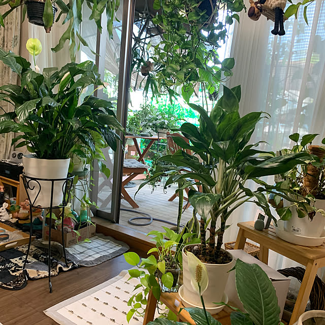 Aqettyさんの部屋