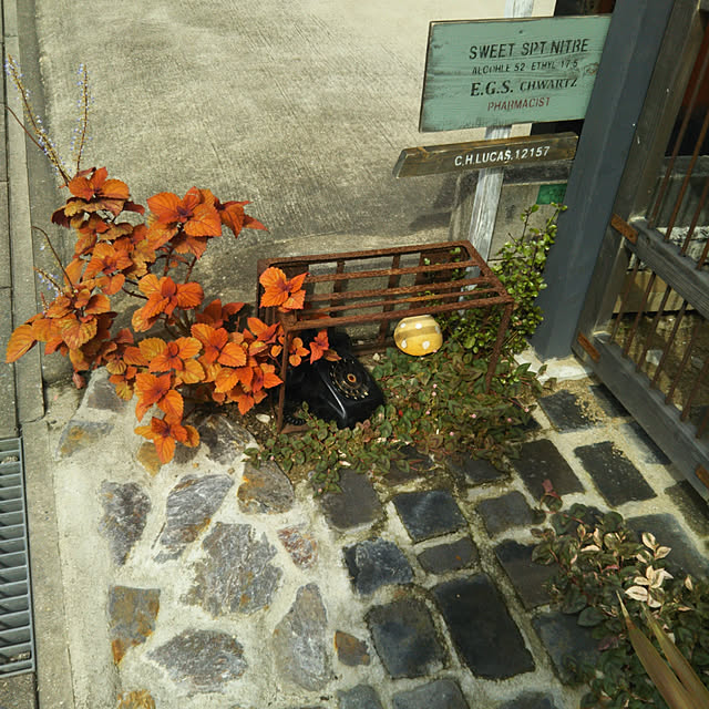hinatoaさんの実例写真