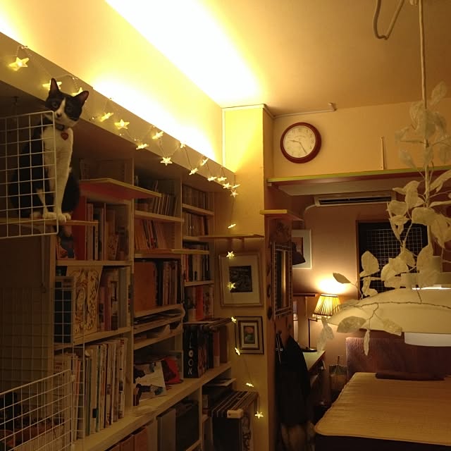 kimishigureさんの実例写真