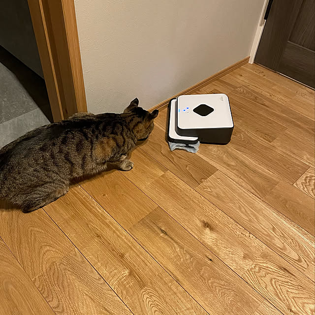 tomo_ppgさんの部屋