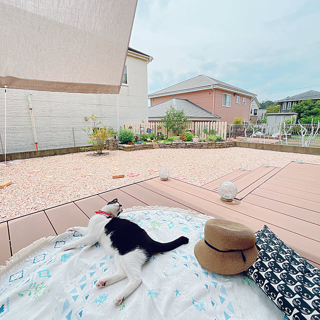 moolさんの部屋