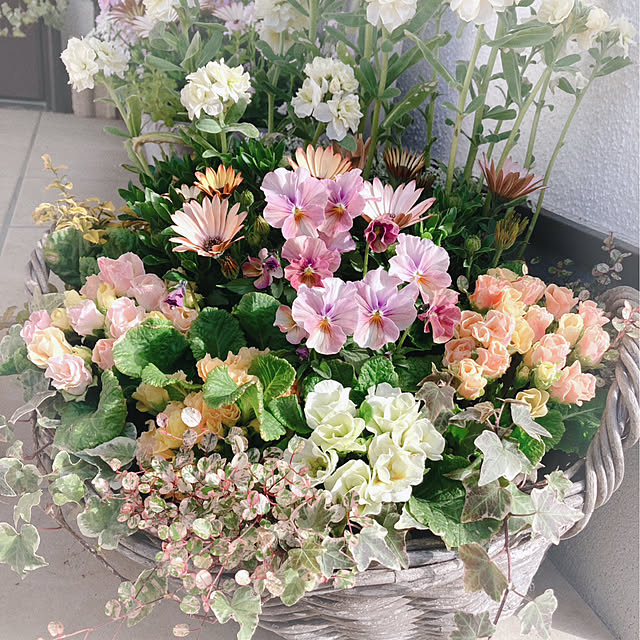 soraさんの実例写真