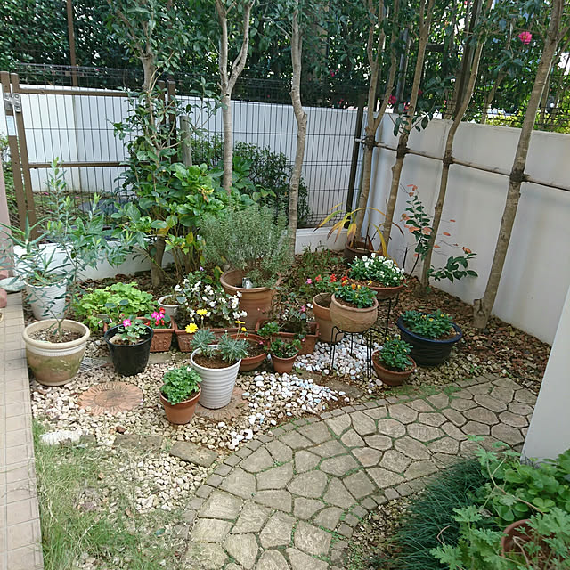 okyosan101さんの実例写真