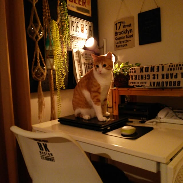 hisayuさんの実例写真