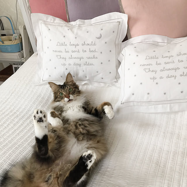 yuchiさんの実例写真