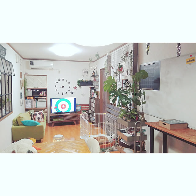 annさんの実例写真