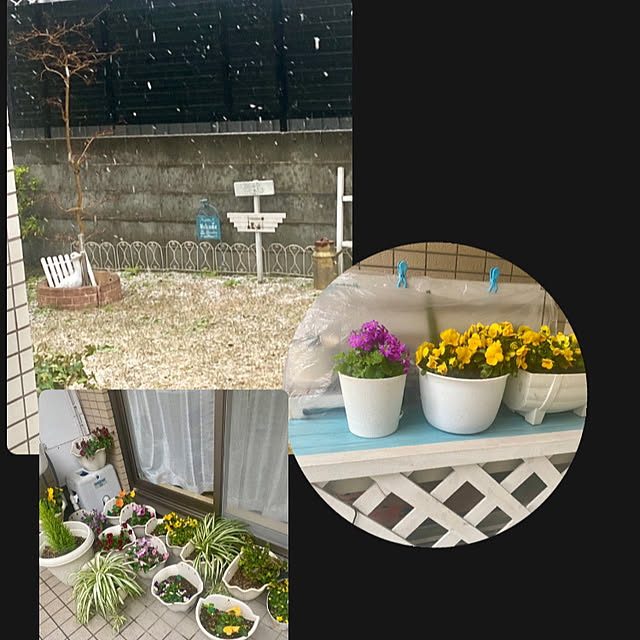 YuuKoさんの実例写真