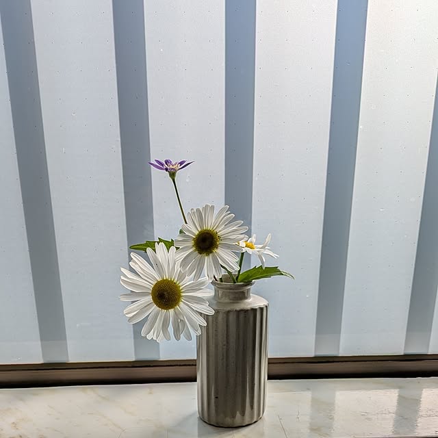 Renさんの実例写真