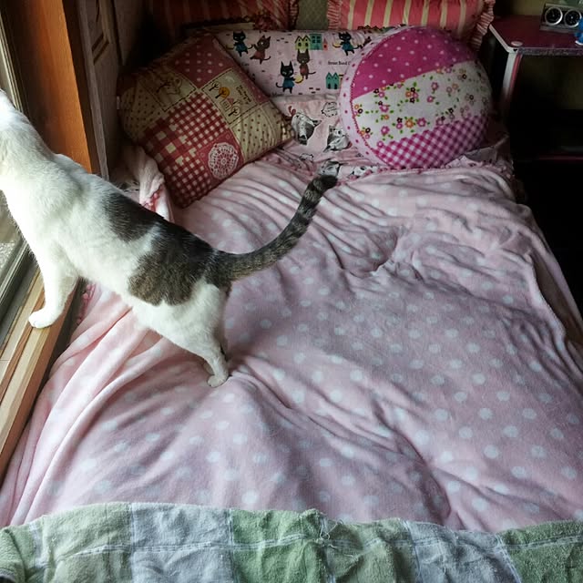 kaoさんの実例写真