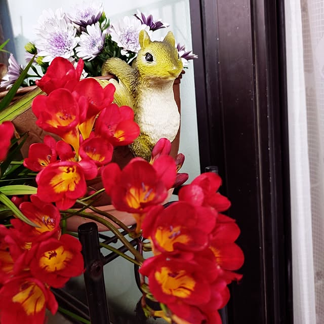 NOAHさんの実例写真