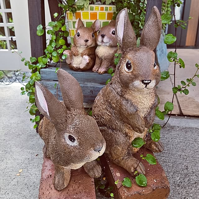 mocomocoさんの部屋