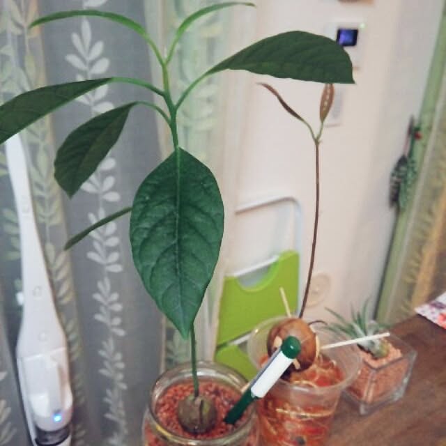 imoan8221さんの実例写真