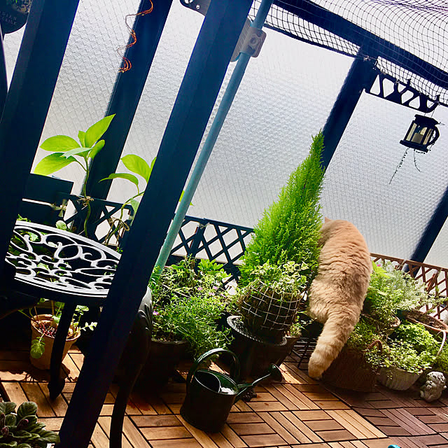 naokoさんの部屋