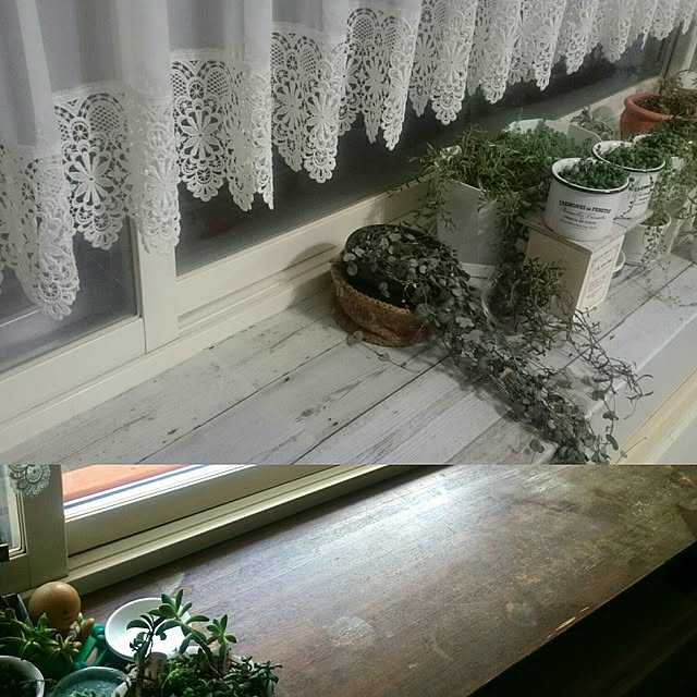 verreiriseさんの実例写真