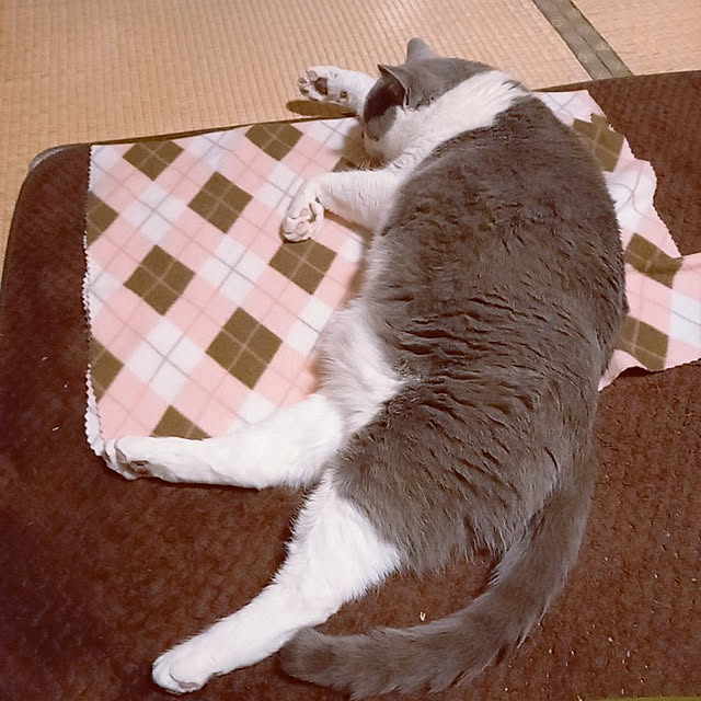 rhuさんの実例写真