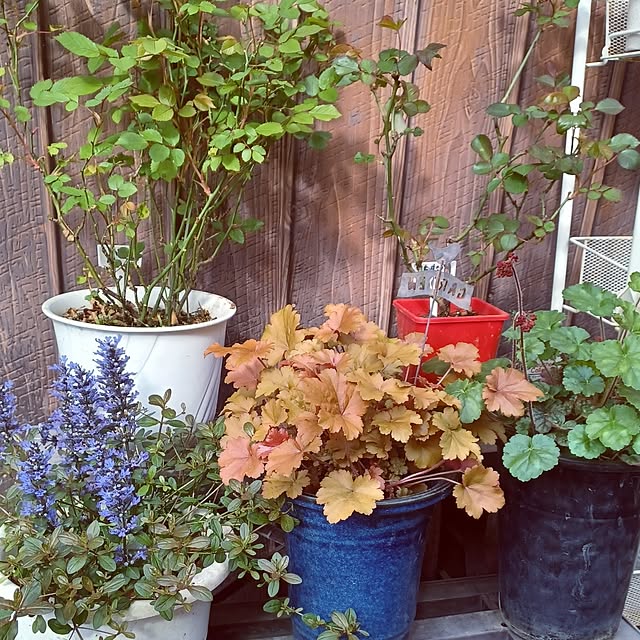 hiro.904さんの実例写真