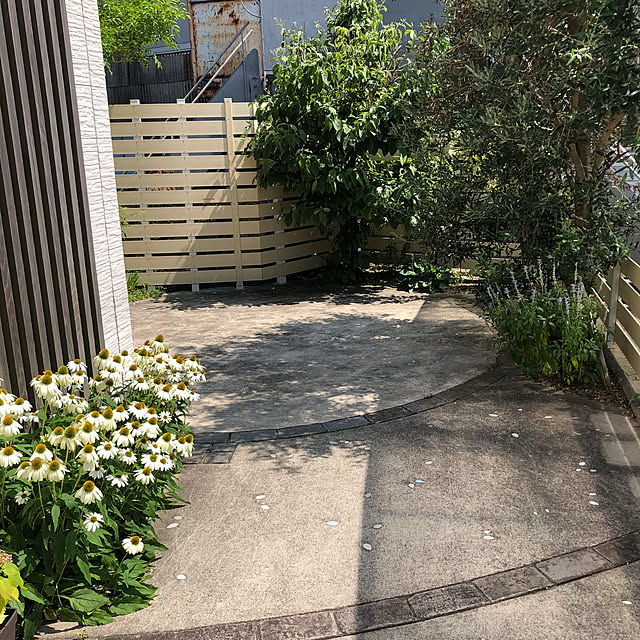 fuwalilyさんの部屋