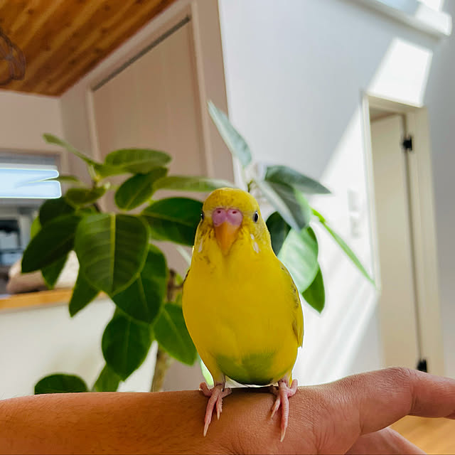 Otsuuu_houseさんの実例写真