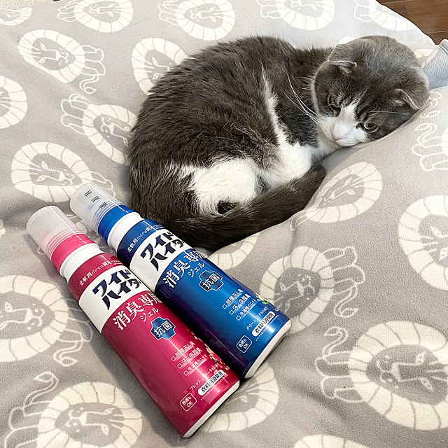 tansukeさんの実例写真