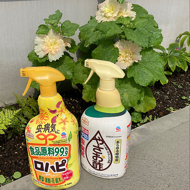 amyさんの実例写真