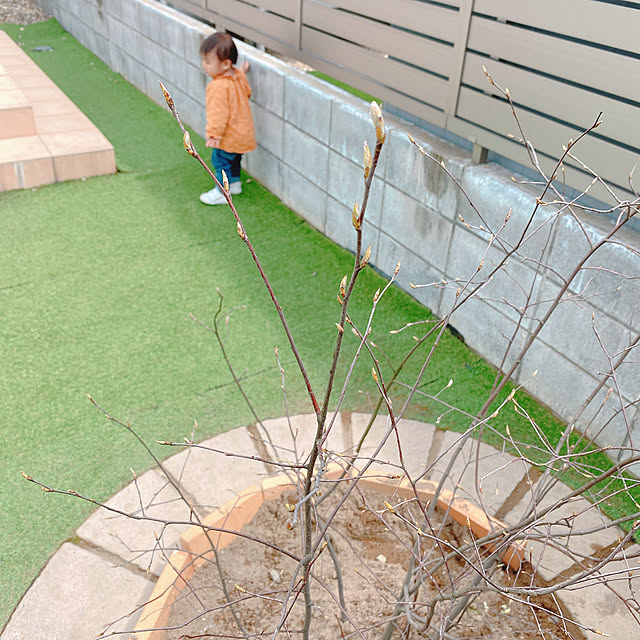 0224tさんの実例写真