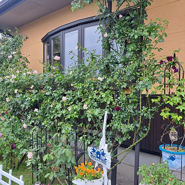 exileingkさんの部屋