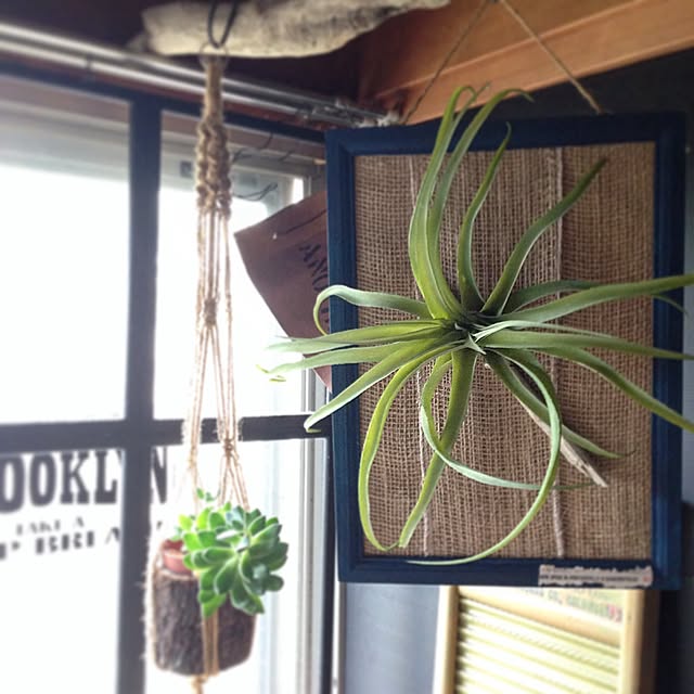 edenさんの実例写真
