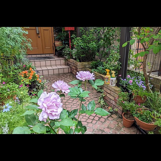 aromameさんの実例写真